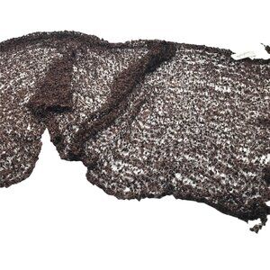 Charming Charlie's Women's Brown Scarf New With Tags